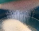 Foto del paso 1 de la receta: 🧈🥚Conchas blancas🥚🧈