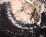 Foto langkah ke 3 dari resep Semur Bola Bola Daging Cincang.