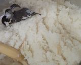 Foto langkah ke 3 dari resep Nasi Gurih/Belamak Rempah Rice cooker Ala ku.