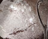 Foto langkah ke 4 dari resep Brownis panggang (fudgy brownies).