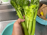 Bạch Tuộc Xào Dưa Leo
