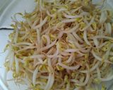 Foto langkah ke 4 dari resep Soto ayam.