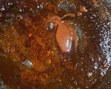 Foto del paso 6 de la receta: 🌶️Ñoquis picantes coreanos 🌶️ Receta viral #5 - Ñoquis de papa #singluten #sin huevo