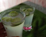A picture of step 3 of Lime booster.