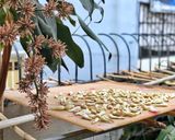 Hình bước làm 1 của món Món Tết: Kiệu Huế ngâm chua ngọt