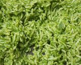તિરંગા રાઈસ (Tiranga Rice Recipe In Gujarati) રેસીપી સ્ટેપ3ફોટો