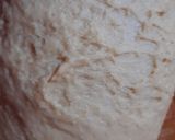 Foto del paso 5 de la receta: Roles de canela y queso crema