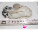 夜市必點小吃-蚵仔煎、蝦仁煎的食譜步驟2照片