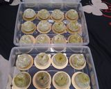 Foto langkah ke 4 dari resep Donut Matcha Tower.