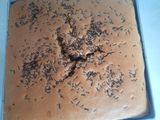 Bolu Kopi Meises