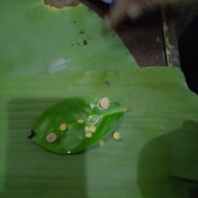 Langkah 5