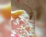 Foto langkah ke 2 dari resep Pempek KW / Pempek Dos.