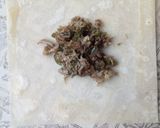A picture of step 4 of Chicken Wontons.