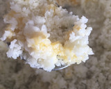 Foto del paso 1 de la receta: Pizza 🍕 baja en grasa (para el antojo) Masa de coliflor y avena