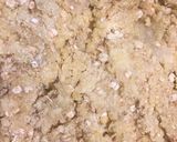 Foto del paso 1 de la receta: Pan de cereales muy nutritivos para niños