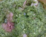 A picture of step 2 of Green Chicken Biryani.