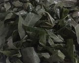 Foto langkah ke 1 dari resep Jangan Godong Telo Pohon (Sayur Daun Singkong).