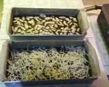 Foto langkah ke 5 dari resep Brownies panggang lembut.