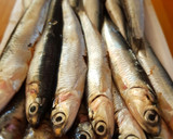 Foto del paso 1 de la receta: Boquerones en vinagre