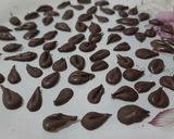 عکس مرحله 6 از دستور شکلات اشکی (تخم هندوانه)