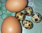 Foto langkah ke 1 dari resep Telur dadar sosis.