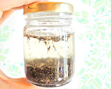 Foto del paso 7 de la receta: Extracto natural de menta (Ideal para sustituir la esencias artificiales)