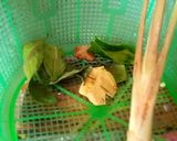 Foto langkah ke 2 dari resep Telor goreng balado.