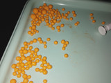 Homemade Dragees