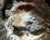 Foto langkah ke 1 dari resep Roti Gembong.