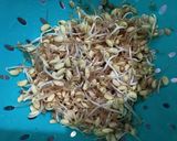 Foto langkah ke 1 dari resep Tumis Kecambah Kedelai irit bumbu.