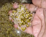 મગ ની દાળ ની ખીચડી(mag dal khichdi recipe in Gujarati) રેસીપી સ્ટેપ1ફોટો