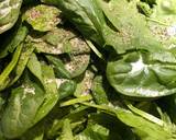 Sauted Garlic Spinach recipe step 5 photo