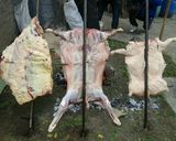Foto del paso 3 de la receta: Cordero asado y lechón a la estaca