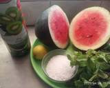 Watermelon kiwi mocktail recipe step 1 photo