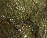 A picture of step 5 of Palak Paneer.