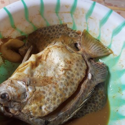 Langkah 1