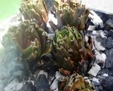 Foto del passaggio 4 della ricetta Carciofi alla brace