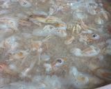 Hình bước làm 2 của món Canh rau chùm ngây nấu tôm thịt
