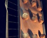 صورة لخطوة 5 من وصفة كوكيز 😋🍪