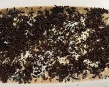 Foto langkah ke 4 dari resep Puding coklat Oreo.