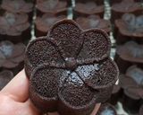 Foto langkah ke 7 dari resep 29. Brownies Ekonomis 2 telur (no mixer).
