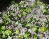 Foto del paso 1 de la receta: Fideos con acelga y brócoli