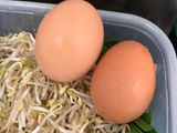 Pangsit Goreng ala LeGino