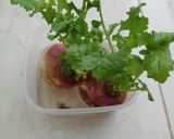 A picture of step 7 of Couscous with Turnip Greens (Ousay).