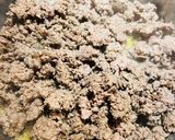 A picture of step 1 of One Pot Beef Fiesta 🪅.