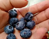Foto del paso 10 de la receta: Pastisetas y bebida de frutos rojos