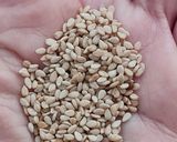 Foto del paso 1 de la receta: Gomashio o gomasio 🇯🇵 Sal de sésamo 🏯 receta tradicional nipona de condimento natural y nutritivo