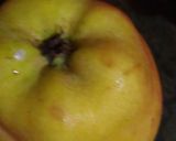 ફ્રુટ સલાડ (Fruit Salad Recipe In Gujarati) રેસીપી સ્ટેપ1ફોટો