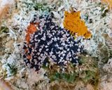 A picture of step 5 of Kothimbir Vadi (Cilantro Croquettes).