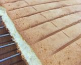 Foto langkah ke 6 dari resep Bolu Jadul Lembut anti Gagal dan mudah.